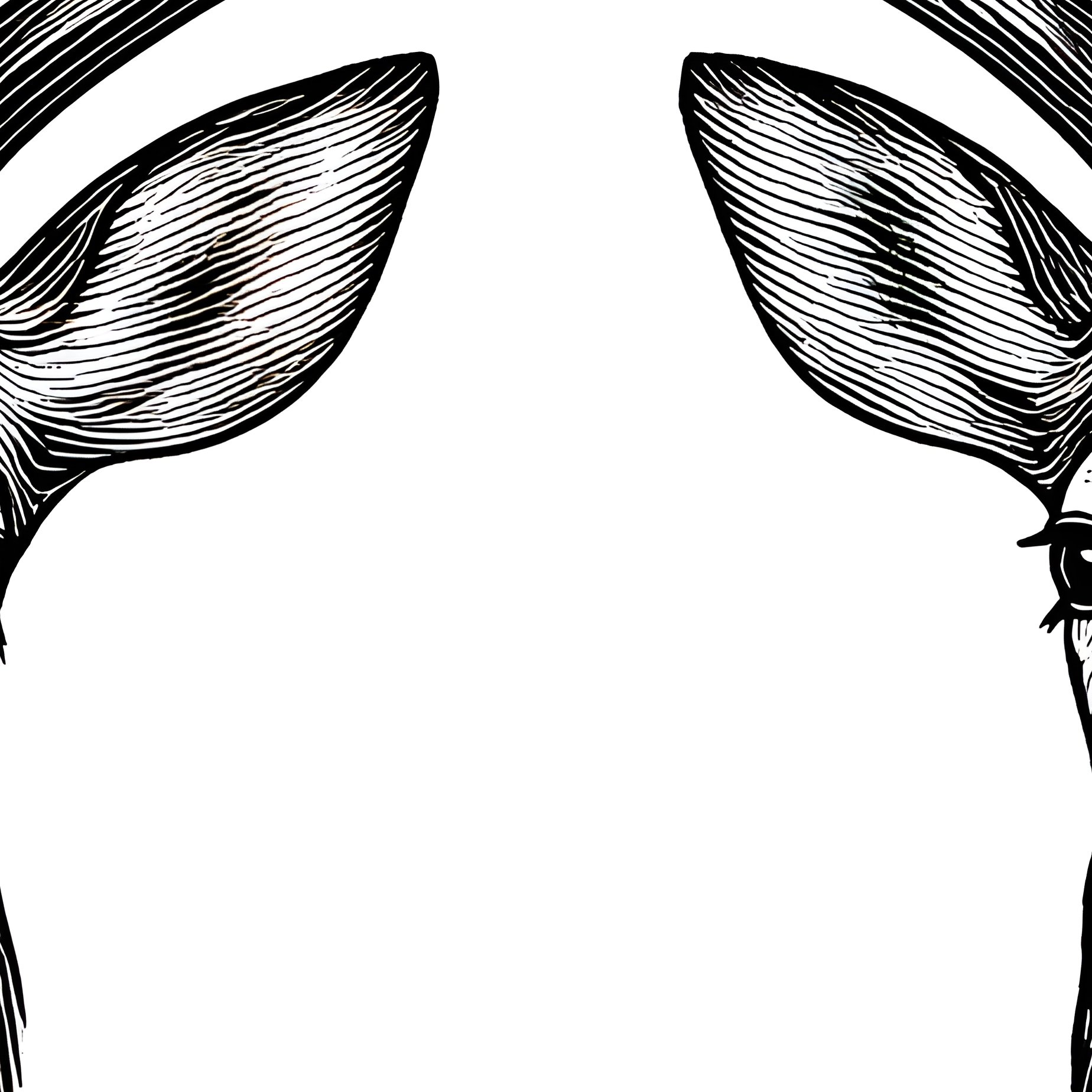 Two Deer Heads Deer Antlers - Full Resolution Quality Preview