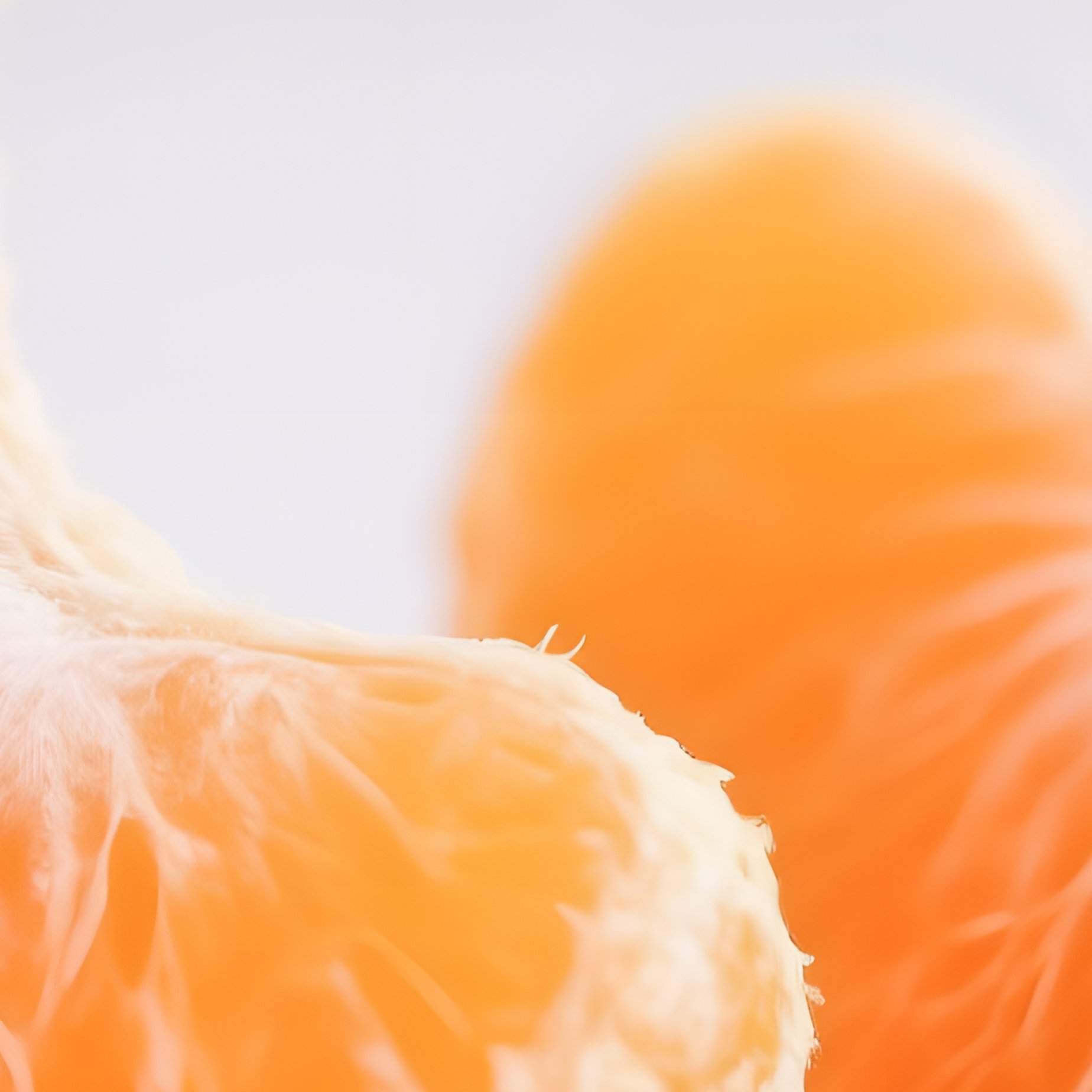 Two Peeled Tangerine Segments Tangerine Fruit - Full Resolution Quality Preview