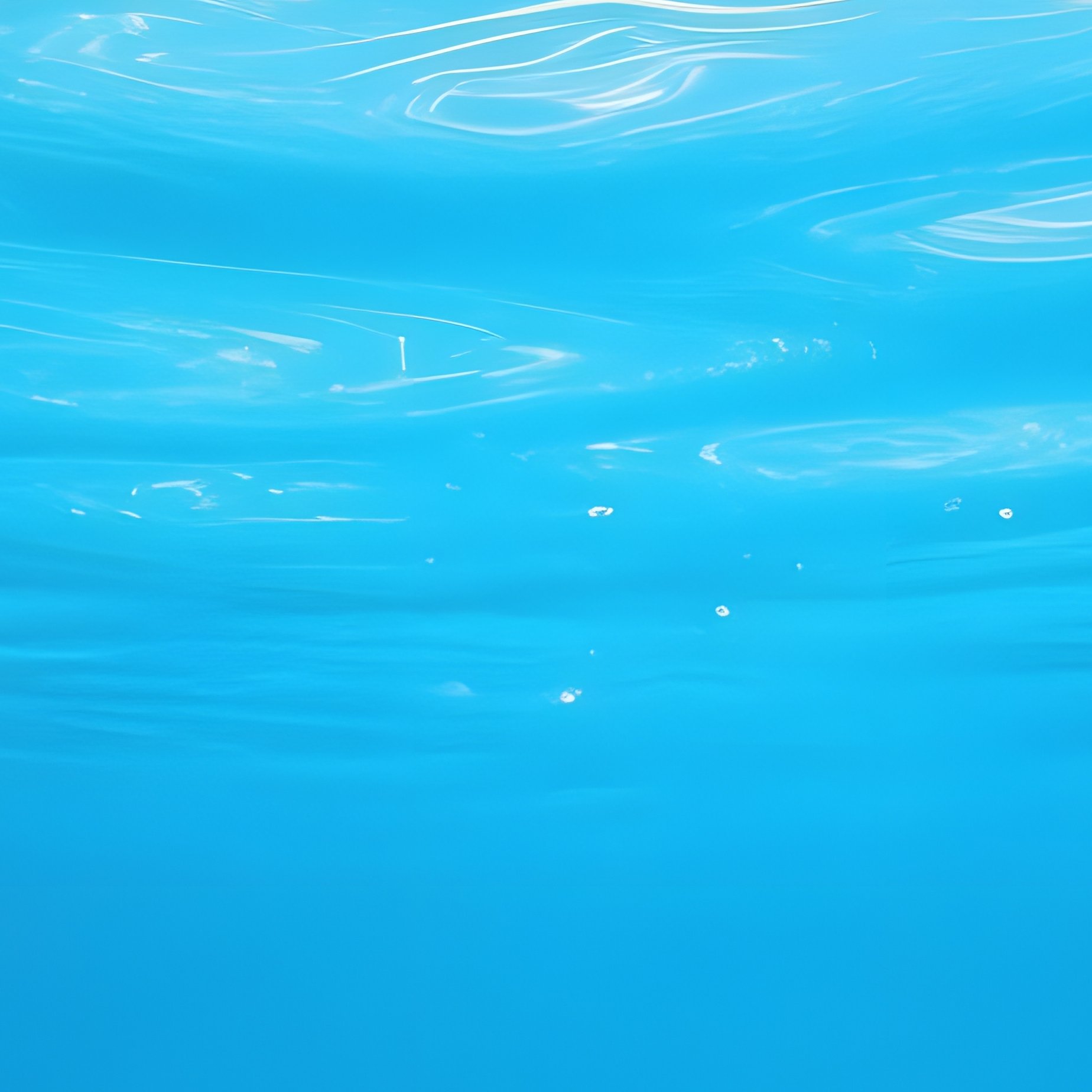 Underwater View Of Water Surface Underwater Ocean - Full Resolution Quality Preview