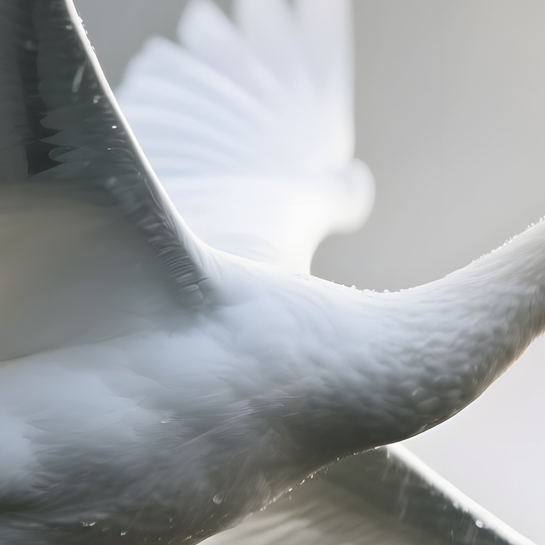 Variation 3 - Full Resolution Quality Preview