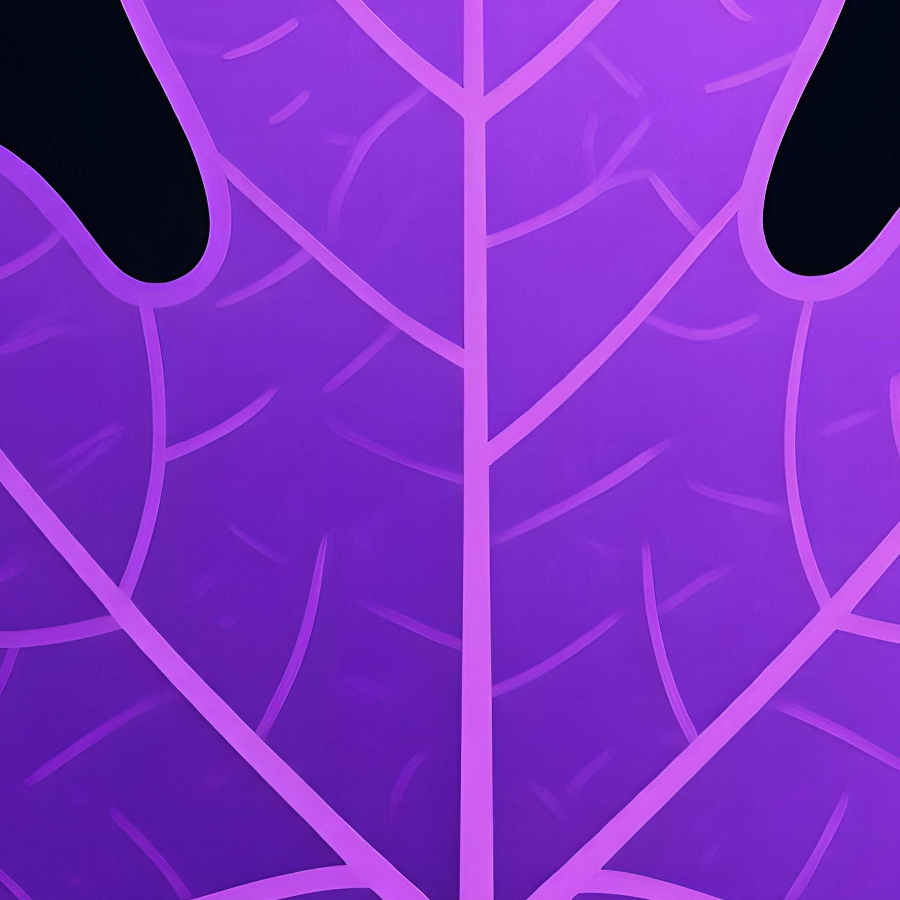 Various Types Of Leaves Leaves Fig Leaf - Full Resolution Quality Preview