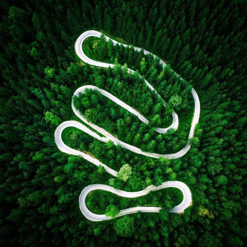 Winding Road Through A Forest Aerial Forest