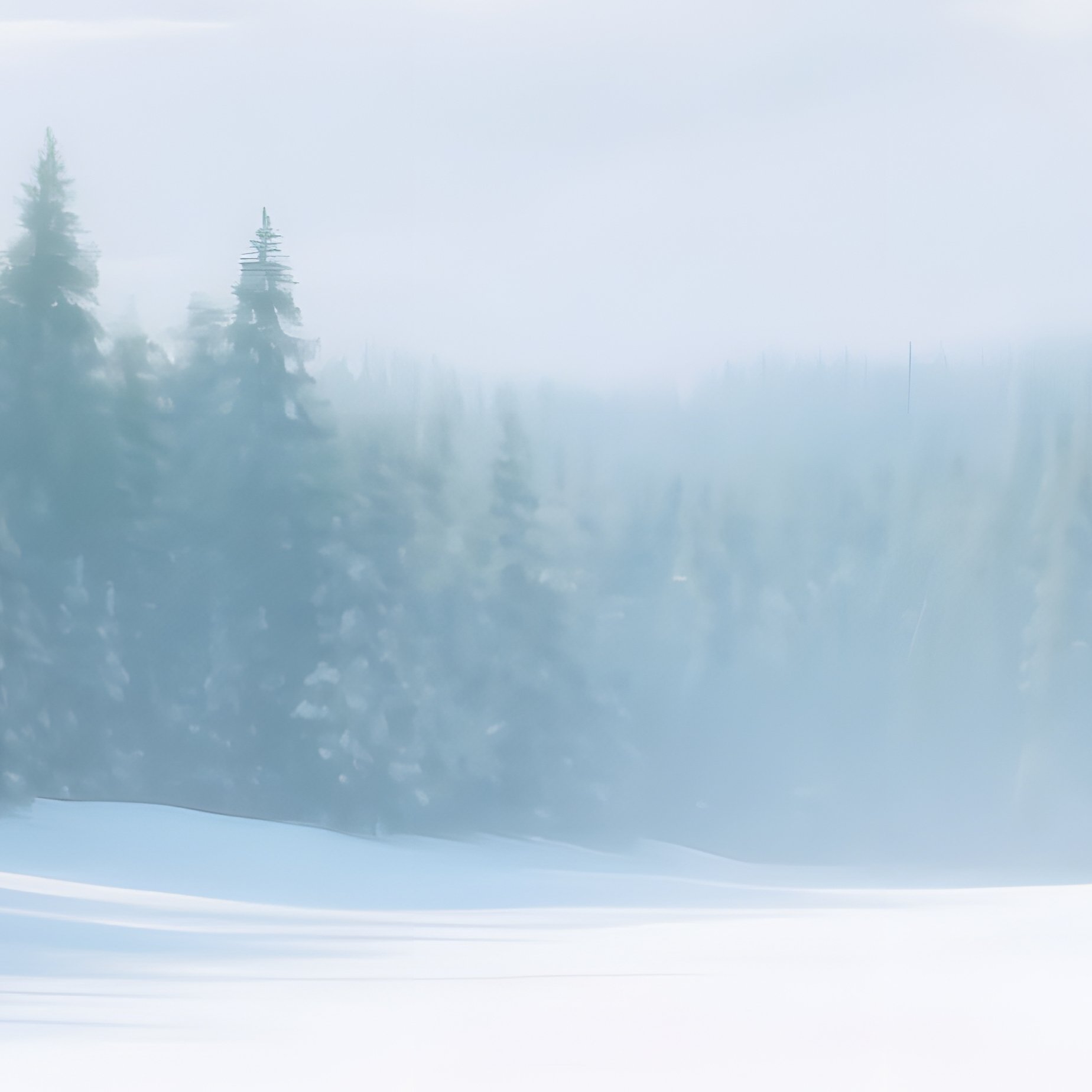 Winter Landscape With Snow Covered Ground And Trees Winter - Full Resolution Quality Preview