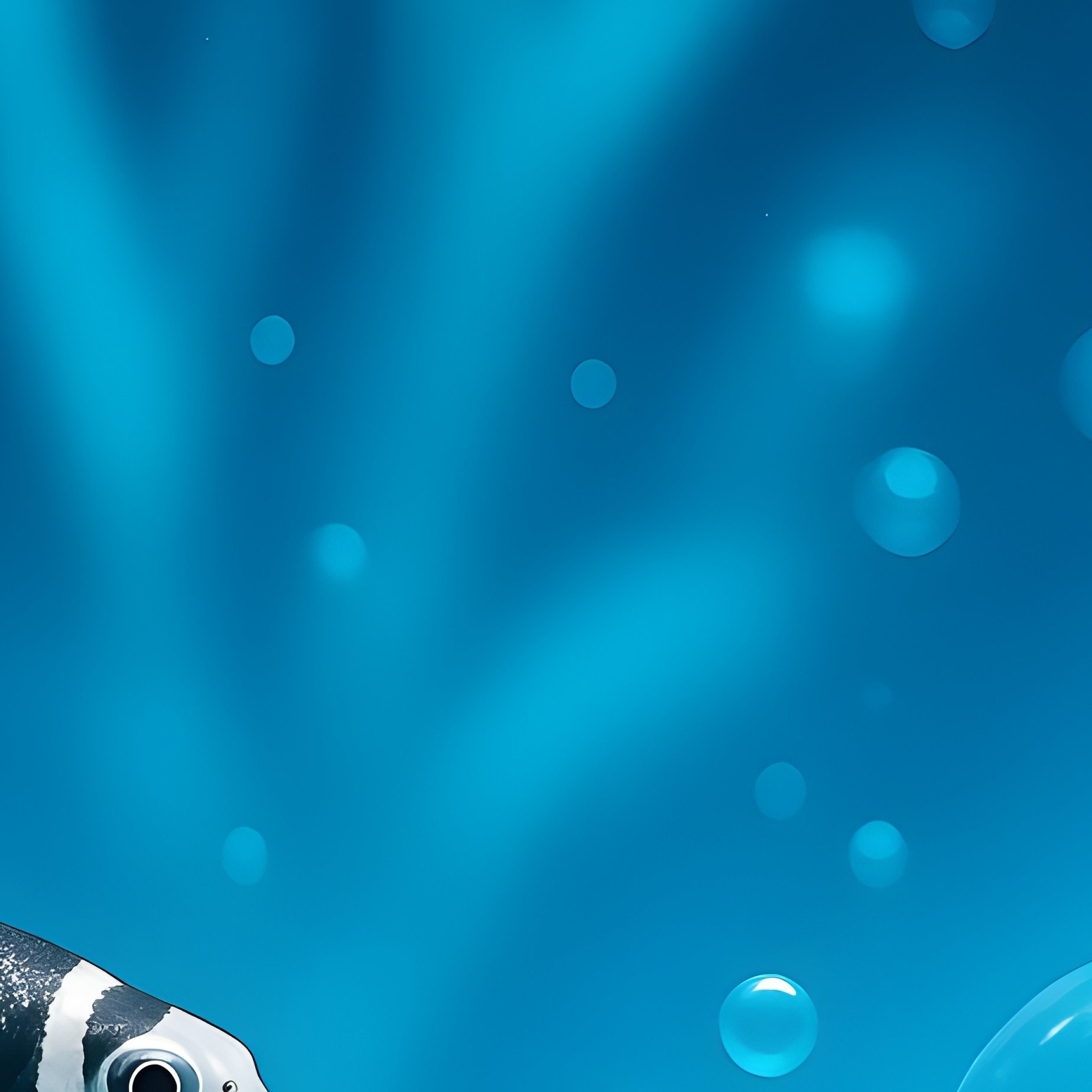 Zebra Danios Through Bubbles Concept - Full Resolution Quality Preview